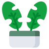 Indoor foliage icon