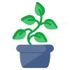 Indoor plant icon