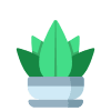 Aloe icon