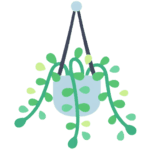 Trailing indoor plant icon