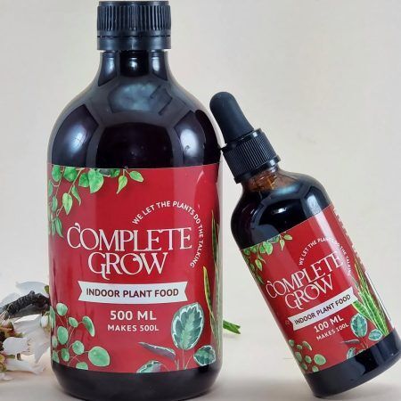 404270709_906959480322450_4447656392719720129_n