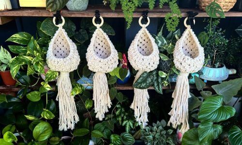 273495685_457991439140604_8161187767324530912_n