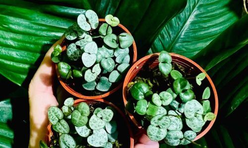 298359956_377924877839870_5716181156787135030_n