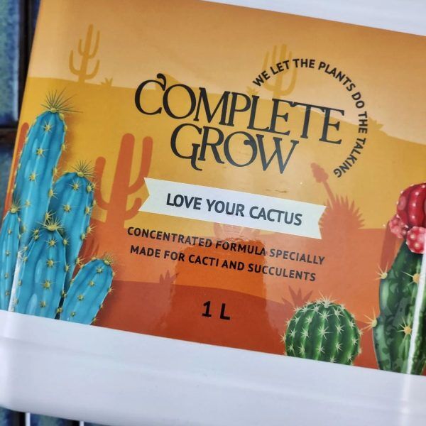 418037195_1375363473370300_9105960448064063891_n