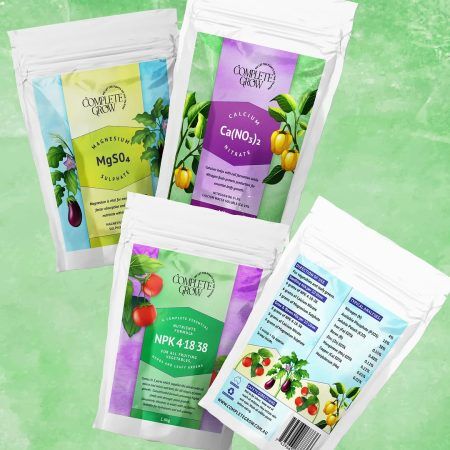 499727586_1079151667569514_3464704201995633534_n