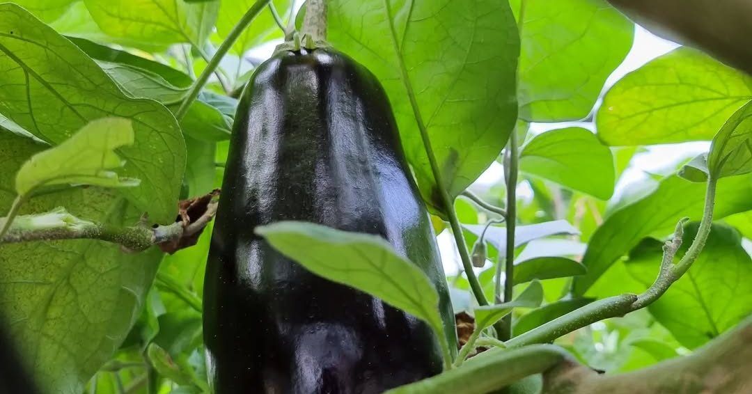 278210266_2532685040195955_2046105657625430217_n (1)