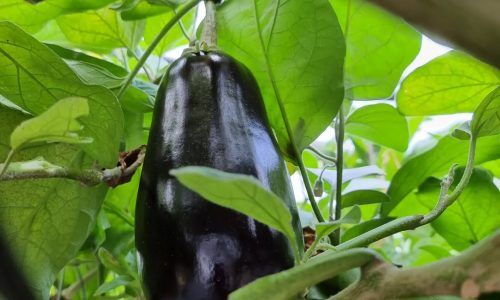 278210266_2532685040195955_2046105657625430217_n (1)