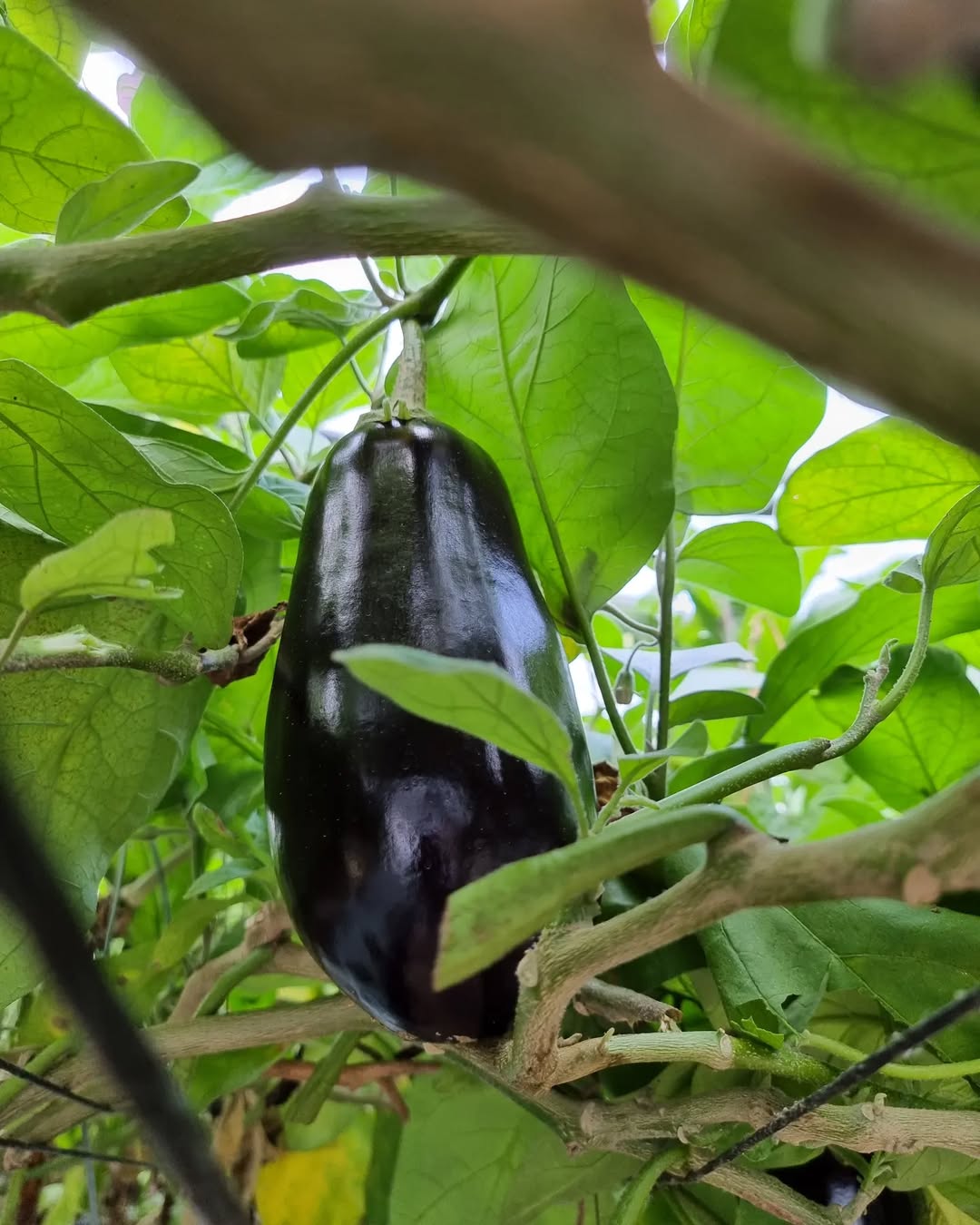 278210266_2532685040195955_2046105657625430217_n