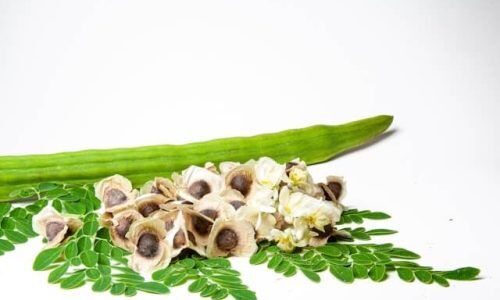 adrian-dale-chExmKr8lEY-unsplash (1)