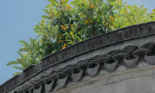 akira-PUTFzDmaZDo-unsplash (1)