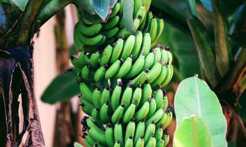 aleksandar-popovski-9CWMmd_pBD8-unsplash