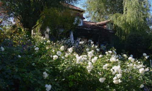 alex-batonisashvili-wMT0SdOFun4-unsplash