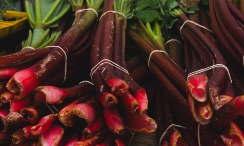 amin-nRxGHBhr15Y-unsplash