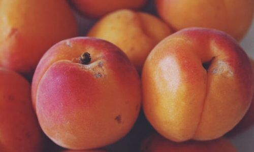 ava-tyler-6BjP8AN7PBc-unsplash (2) (1)