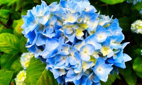 ben-soyka-KtWI34PMgS0-unsplash