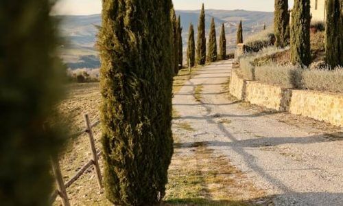 ben-white-X2R12z5Cugk-unsplash (1)