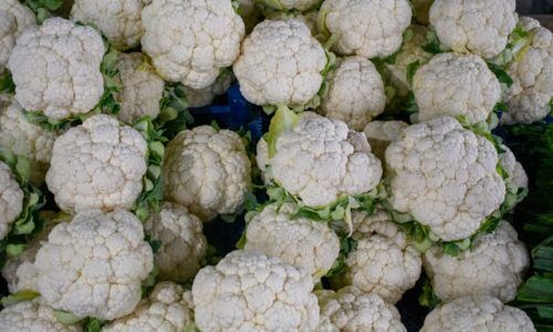 caglar-oskay-UljCflnP1ik-unsplash