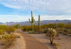 christoph-von-gellhorn-kjA82leKmJc-unsplash