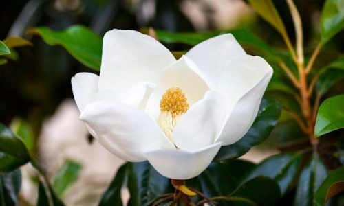 drew-beamer-BYUxyQ7HQi8-unsplash