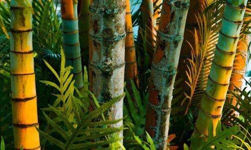 earl-wilcox-jopmGQGTpKk-unsplash