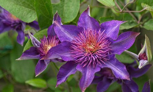 ed-g-RXGQZBnlsbc-unsplash (1)