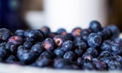 elke-karin-lugert-4IAp_N7xu-k-unsplash