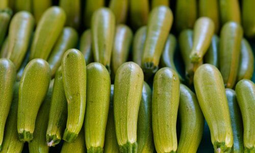 engin-akyurt-UZwzV_roK18-unsplash (1)