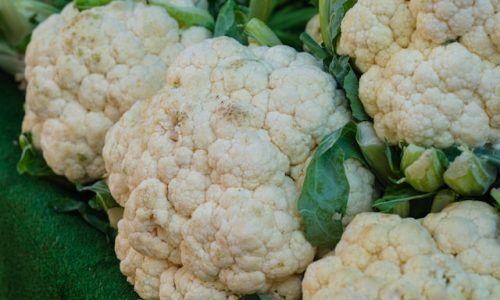 engin-akyurt-hnEp8wnCj4g-unsplash