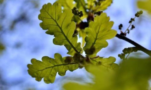 evgen-slavin-EwBH7ER3ccU-unsplash (1)