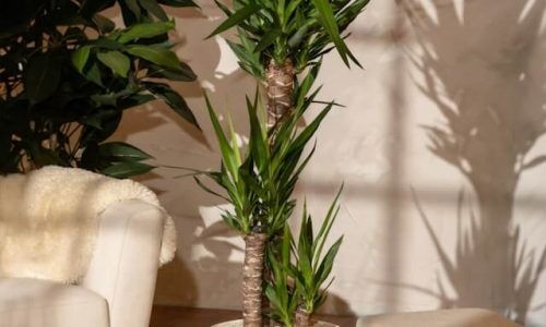 feey-2TWMOWW3xrE-unsplash (1)