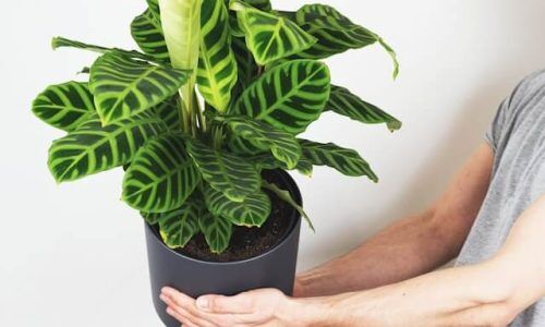 feey-c21H96OEz4U-unsplash (1)