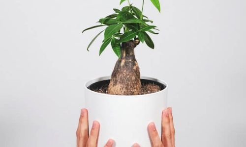 feey-xJh27OYI7zg-unsplash (1)