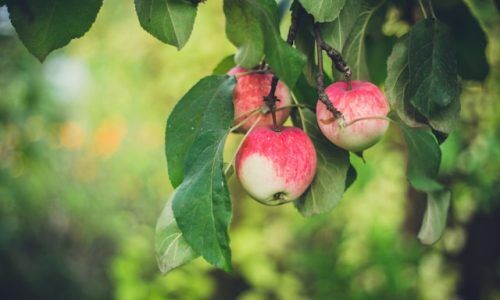 from-marwool-GbY8Xg5iTOA-unsplash