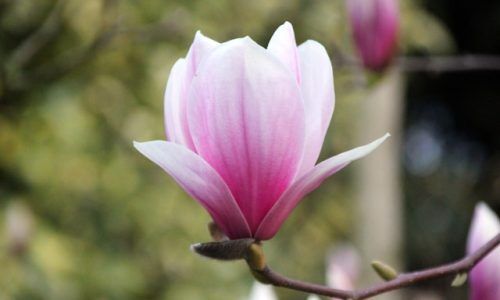 giacomo-carra-rO67lWfS4CU-unsplash