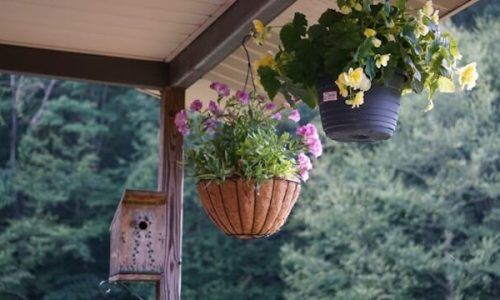 glenn-haertlein-A0D72eE-tzw-unsplash (1)