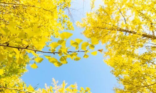 hongwei-fan-bkD7YfVwltc-unsplash (1)