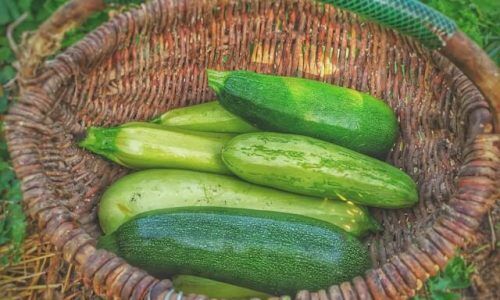 igor-osinchuk-7OQ4oekzMzY-unsplash (1)