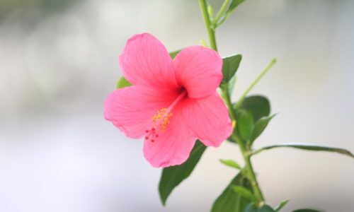 infant-ajith-UN1oFi9m89c-unsplash