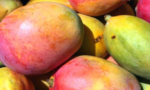 jacqueline-brandwayn-McxsrN3WW48-unsplash