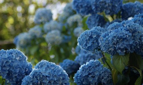 jan-ranft-cybbp711b9Q-unsplash