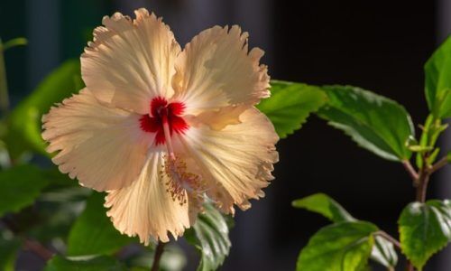 jeff-kingma-iDe_GKEBzUU-unsplash