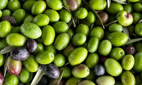 john-cameron-RD0iQoLCkPo-unsplash