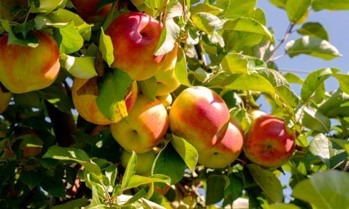 josephina-kolpachnikof-yCiFA0OryqQ-unsplash