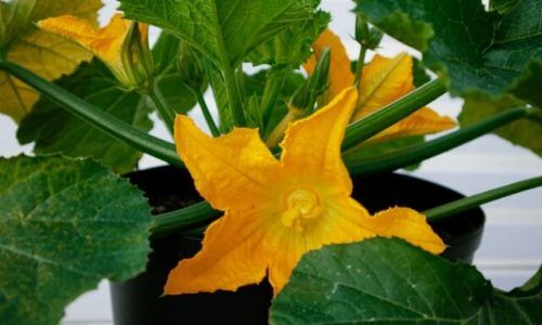 kasia-gajek-S5NmS_PhfNc-unsplash (1)