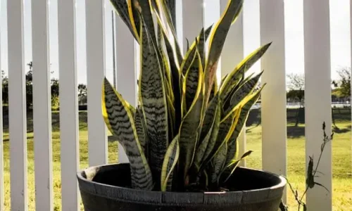 kaylar-photo-CCZVgmupT6Y-unsplash (1)