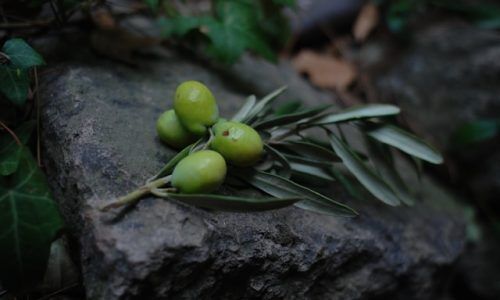 kris-sevinc-ymlEplh33DY-unsplash