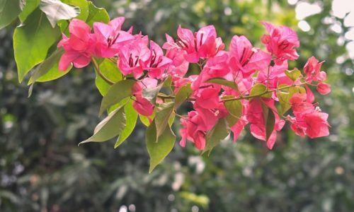 krithika-nandakumar-oGTWOhuqRqc-unsplash