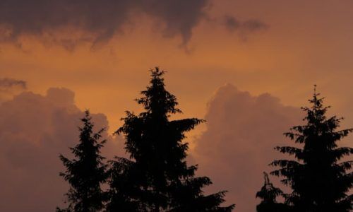 laurence-t1dQi3Jz1wk-unsplash (1)