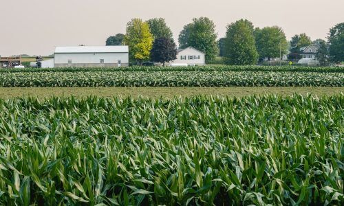 lumin-osity-fj_oCi-jur4-unsplash (1)