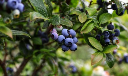 mario-mendez-fw7sKxSg5Vs-unsplash